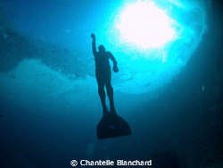 Taking shots of free divers under the ice. I did not have... by Chantelle Blanchard 